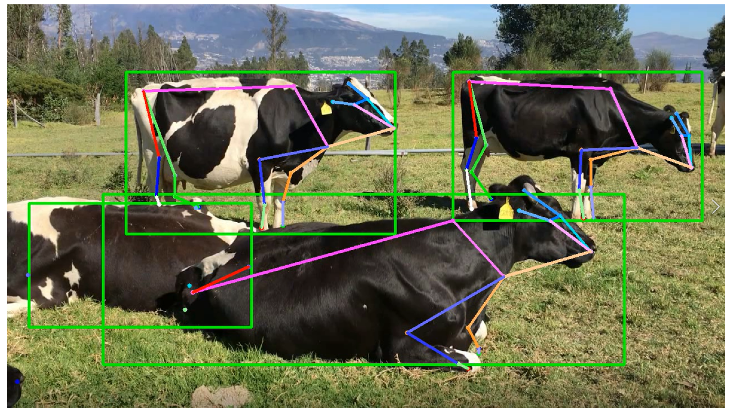 Information 13 00089 g006