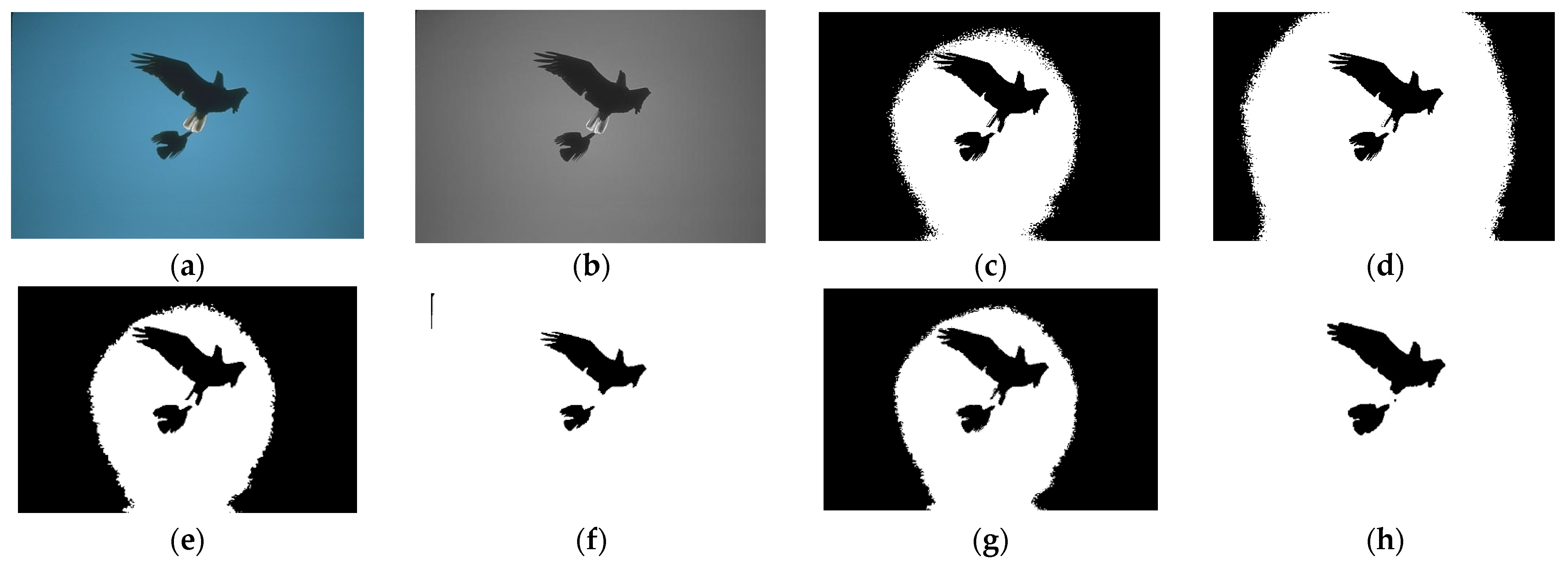 Information 13 00098 g006