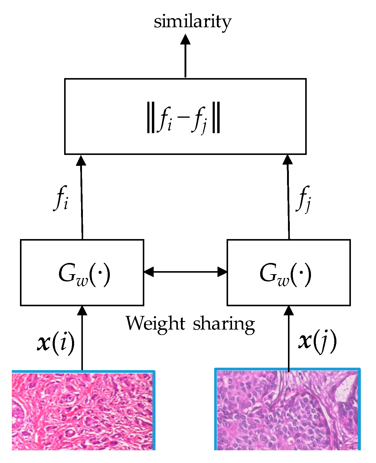 Information 13 00107 g002