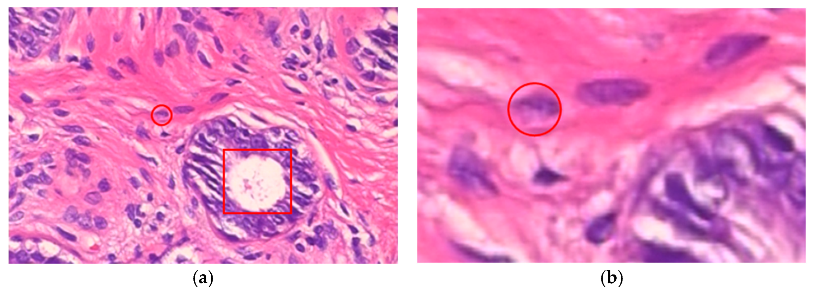 Information 13 00107 g004