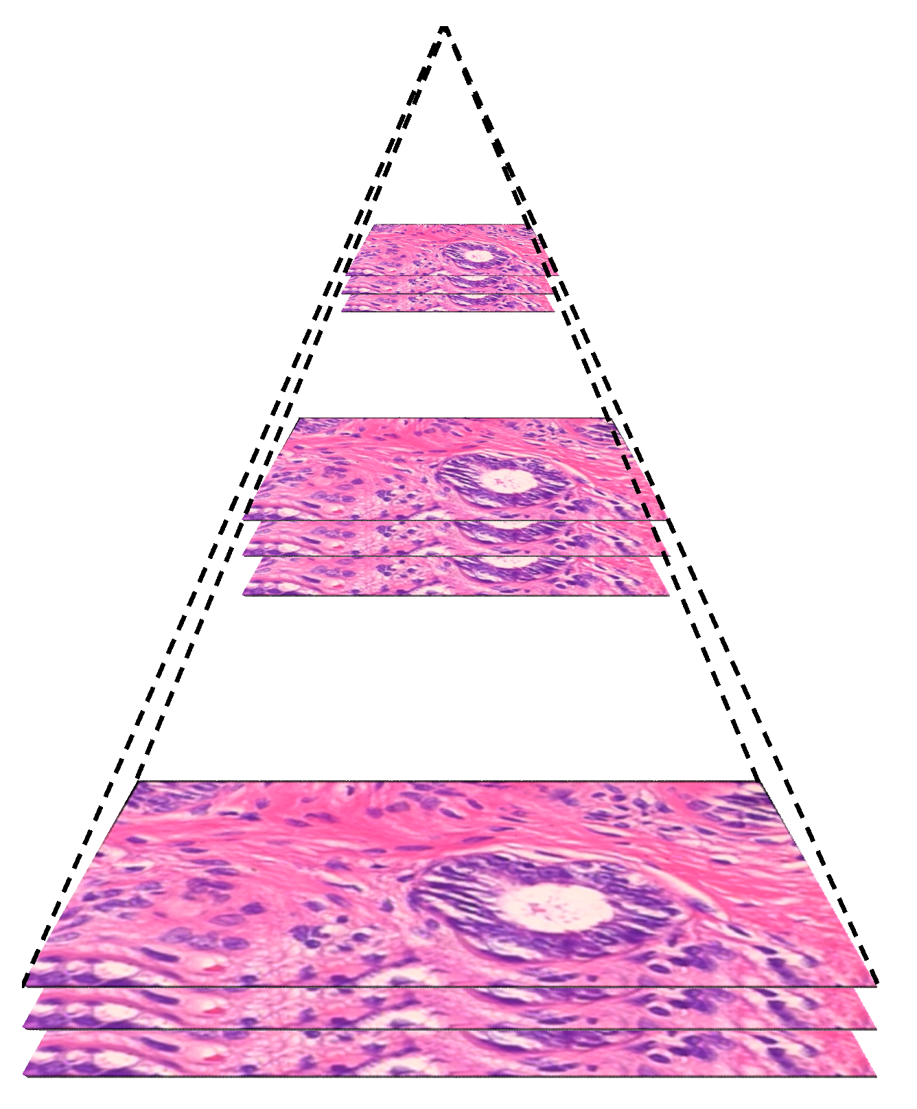 Information 13 00107 g005