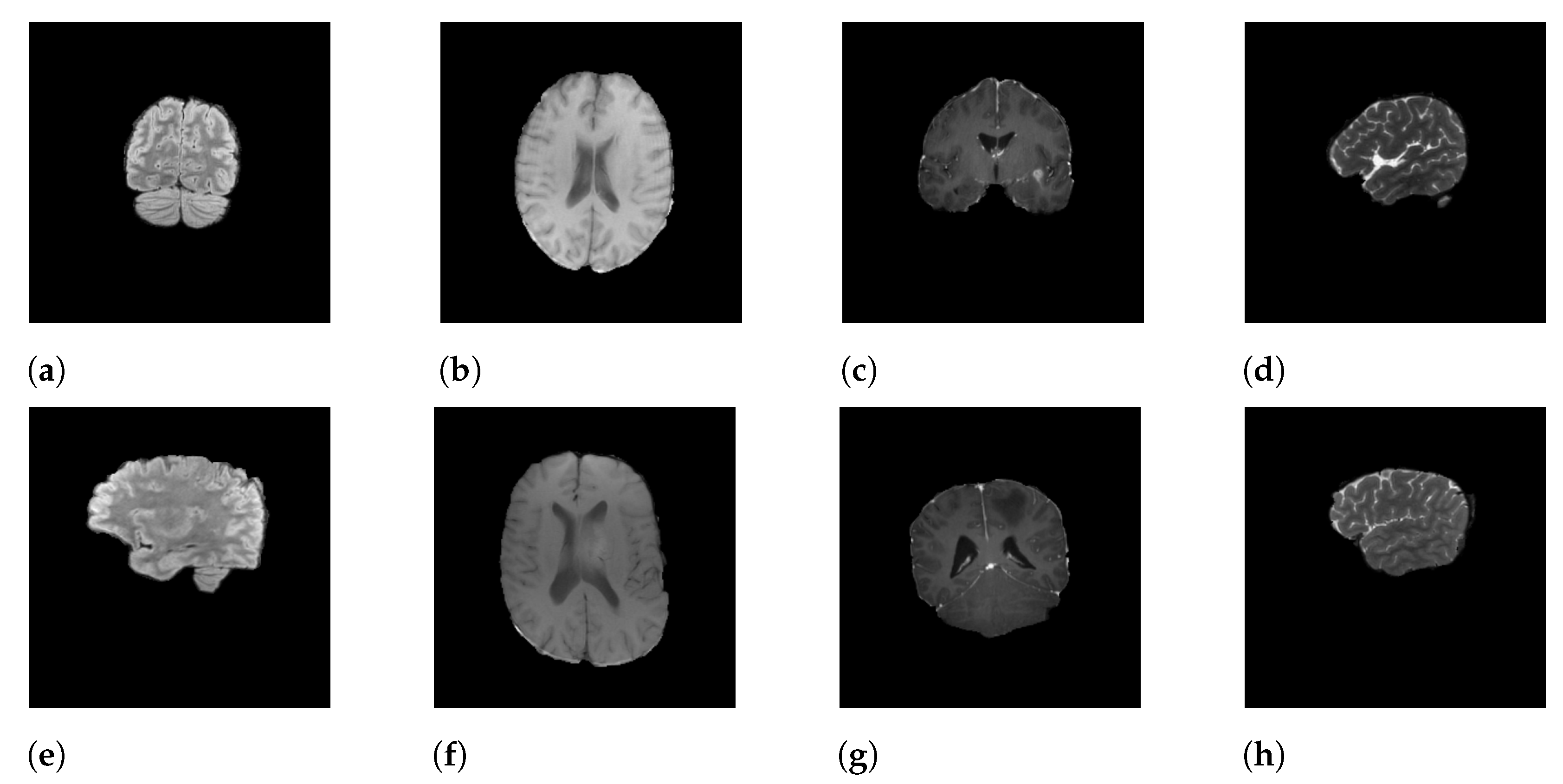 Information 13 00124 g001