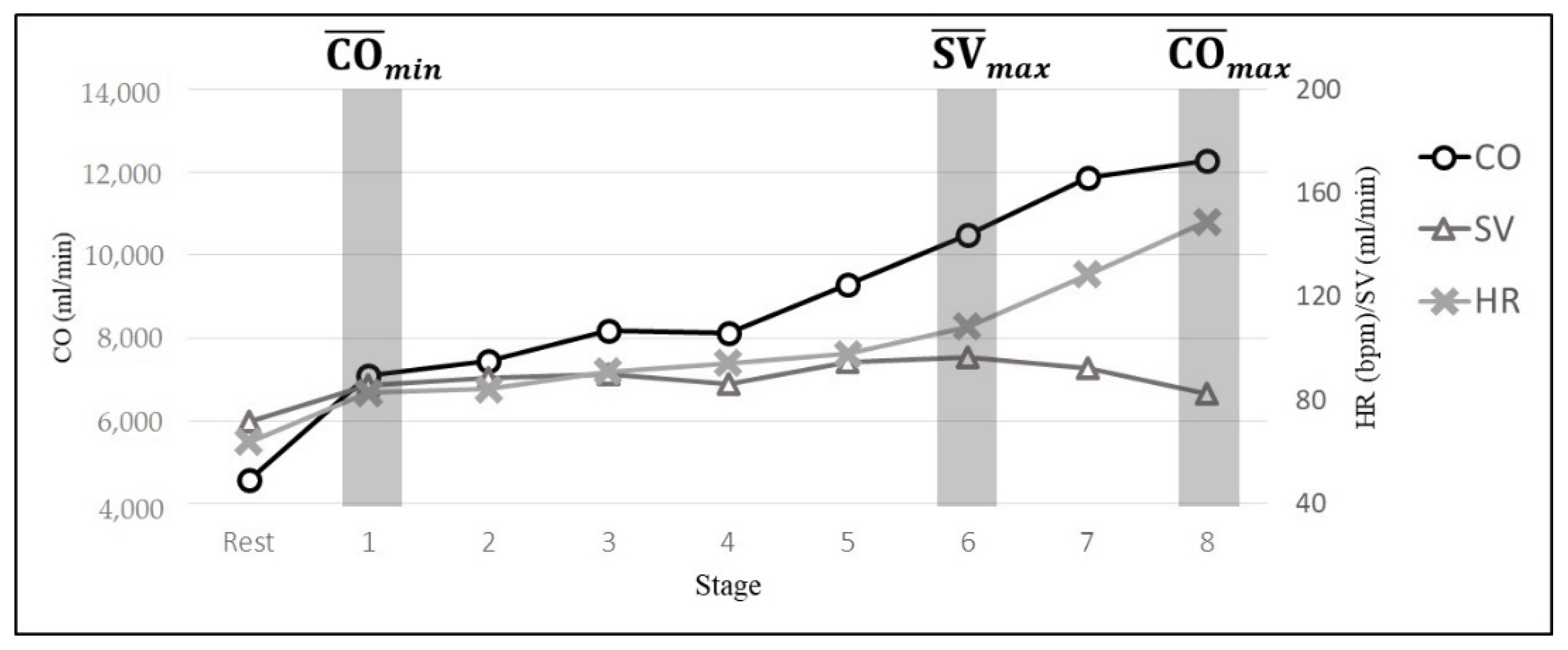 Information 13 00148 g005