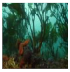 Information 13 00187 i002