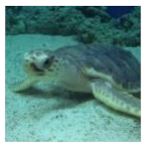 Information 13 00187 i005