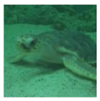 Information 13 00187 i006