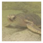 Information 13 00187 i007