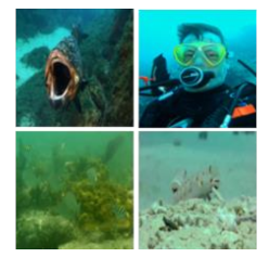 Information 13 00187 i029