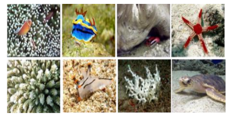 Information 13 00187 i030