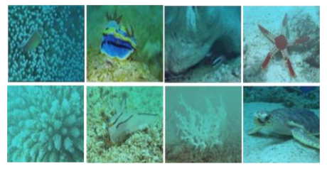 Information 13 00187 i031