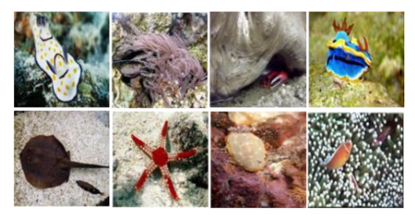 Information 13 00187 i033