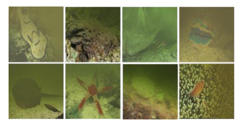 Information 13 00187 i034