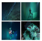 Information 13 00187 i035