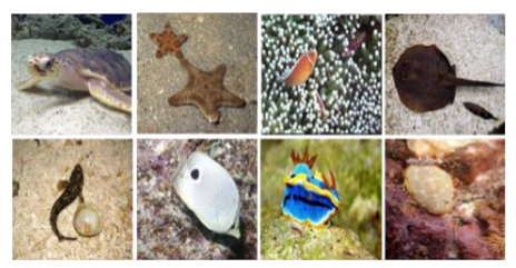 Information 13 00187 i036