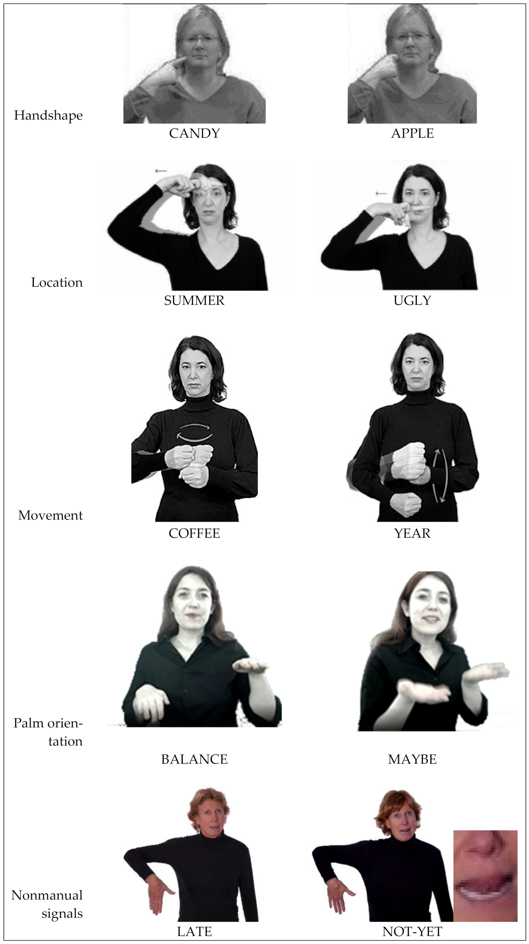 Information 13 00206 g008