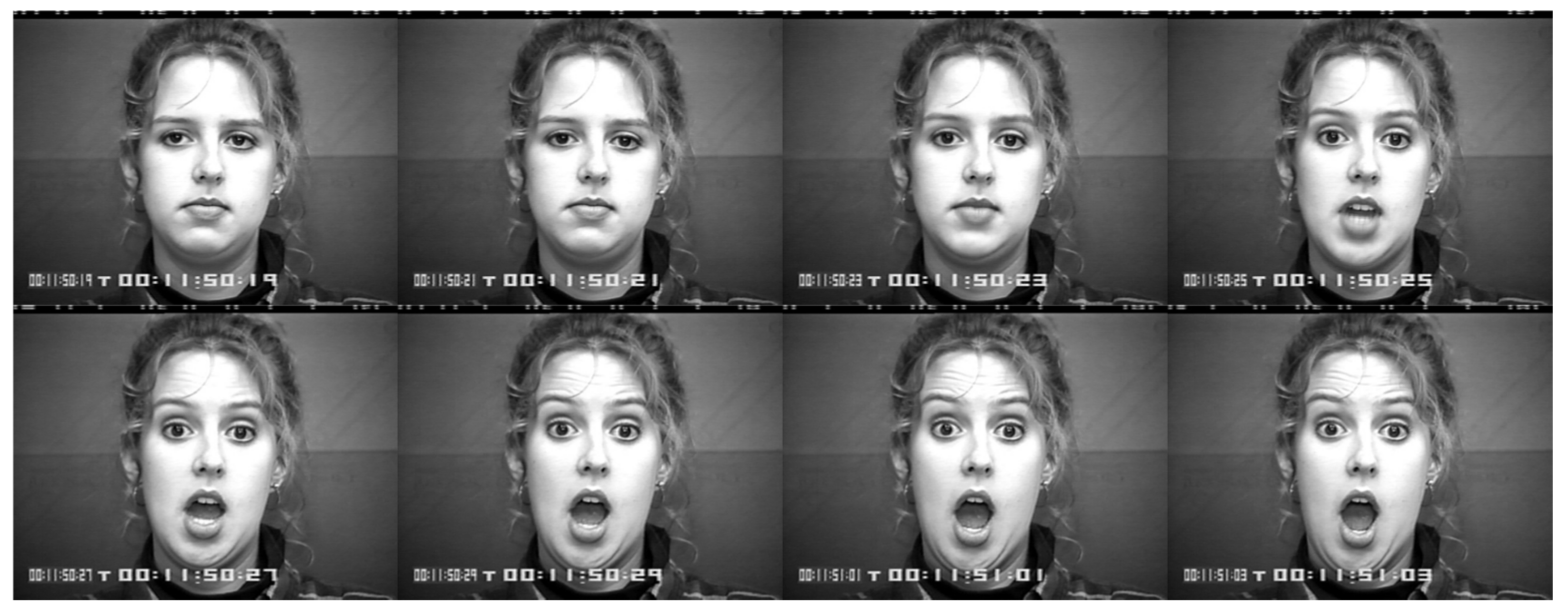 Information 13 00207 g005