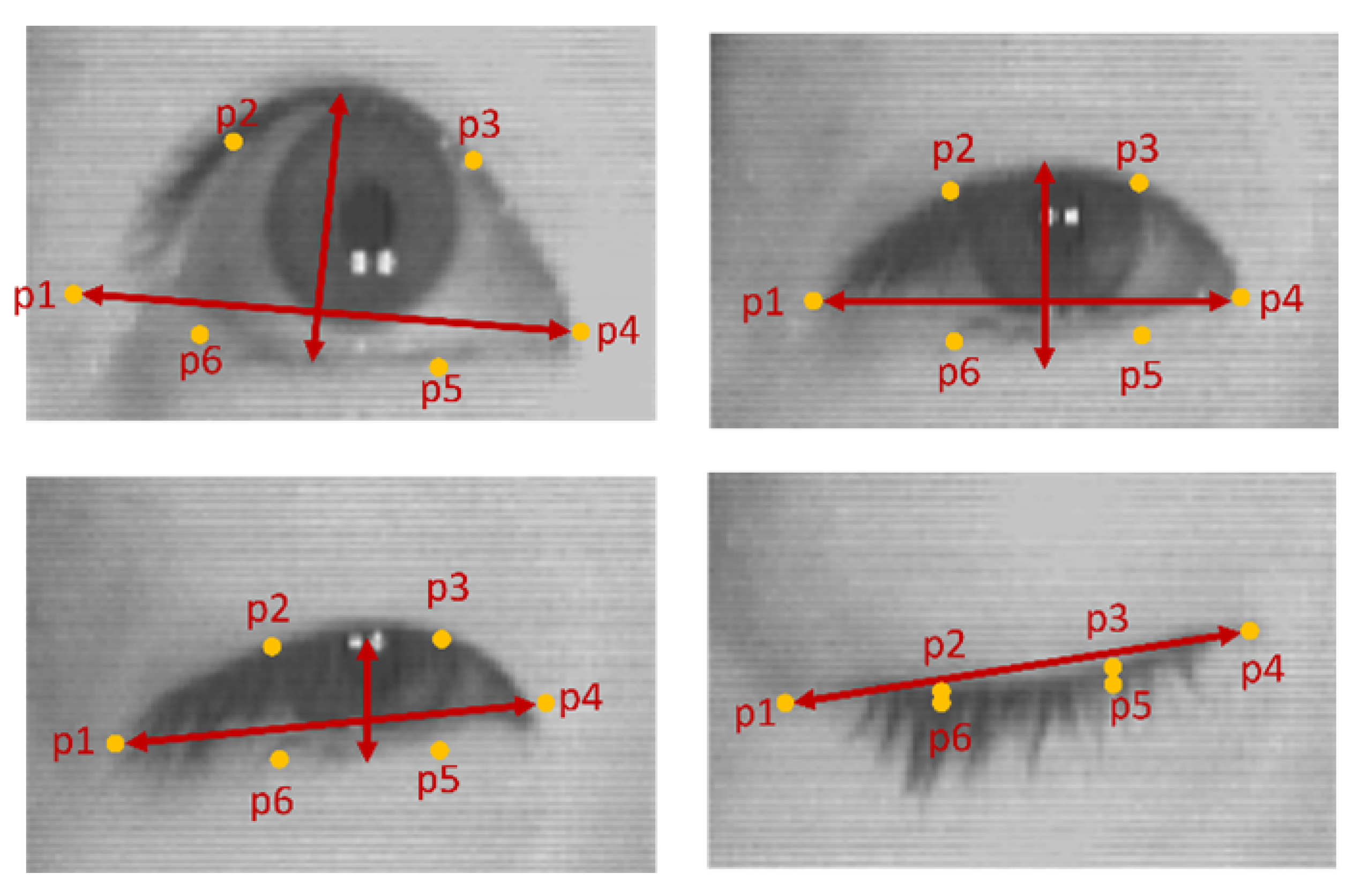 Information 13 00230 g004