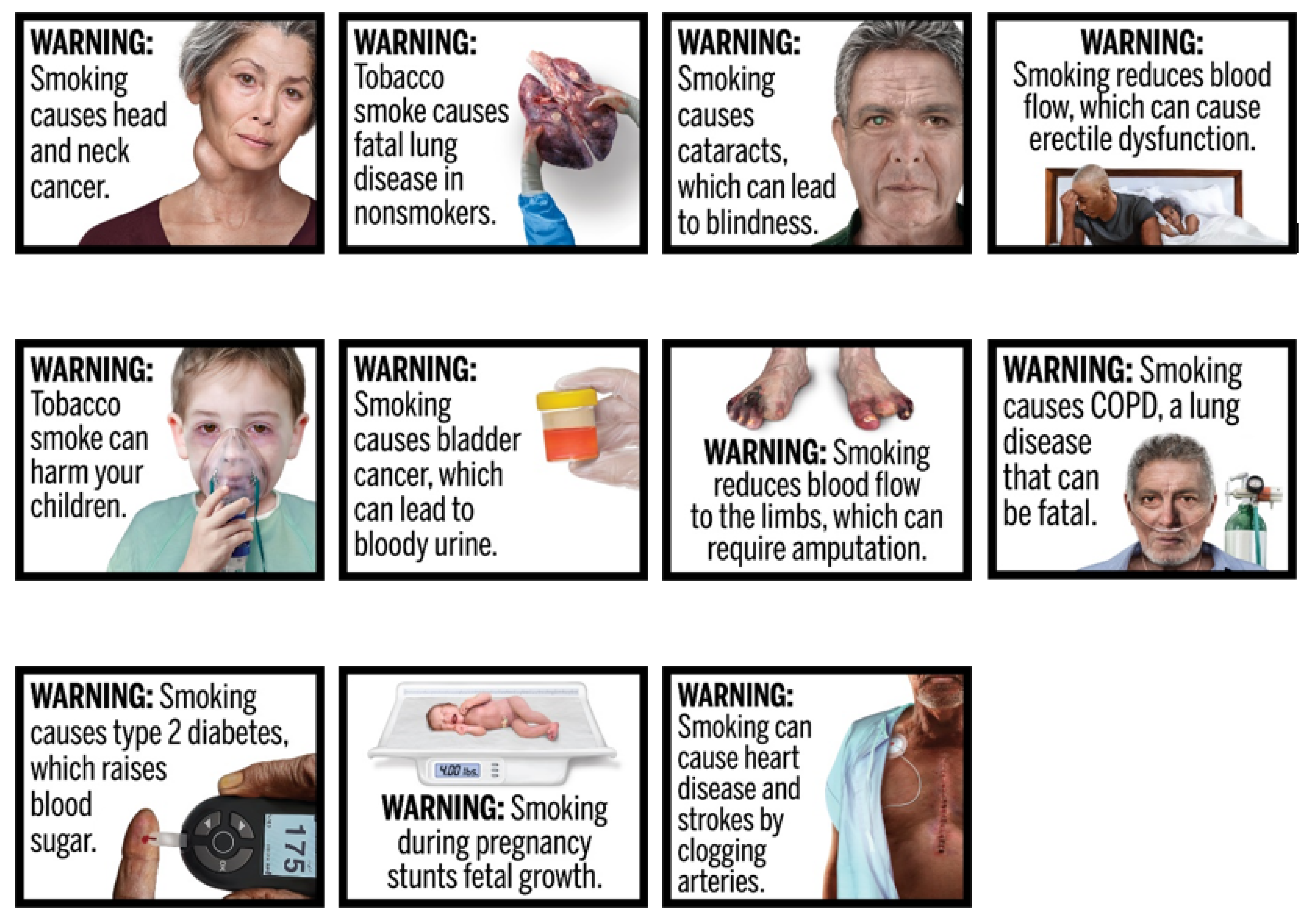 Information 13 00252 g002