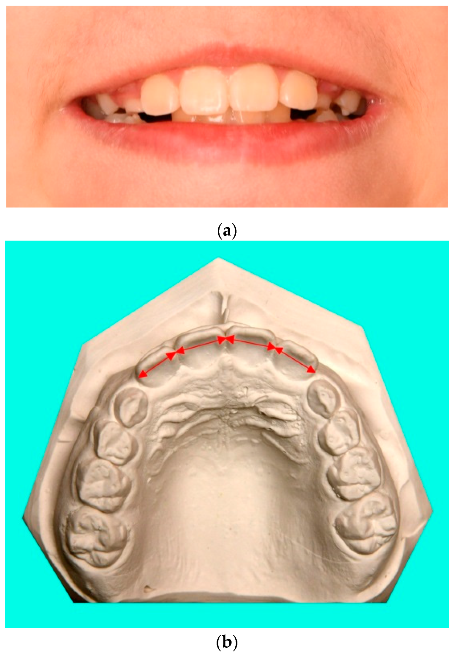 Information 13 00256 g002