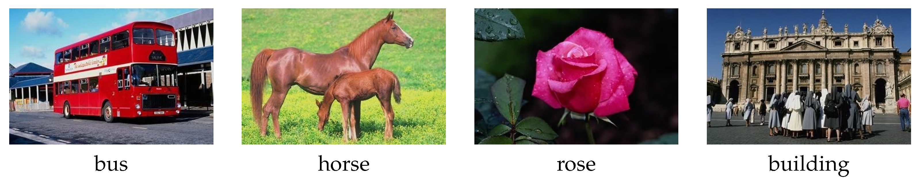 Information 13 00301 g004