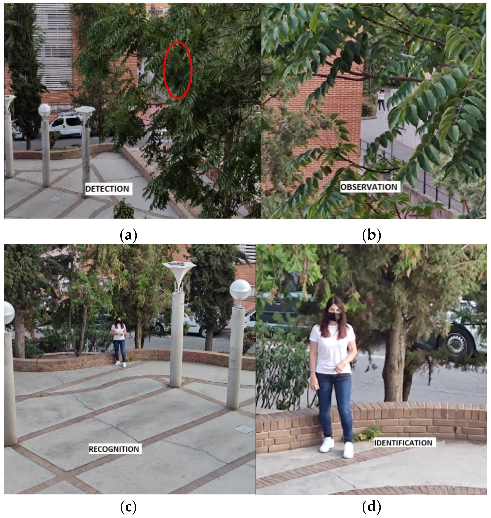 Information 13 00325 g002 Information 13 00325 g002