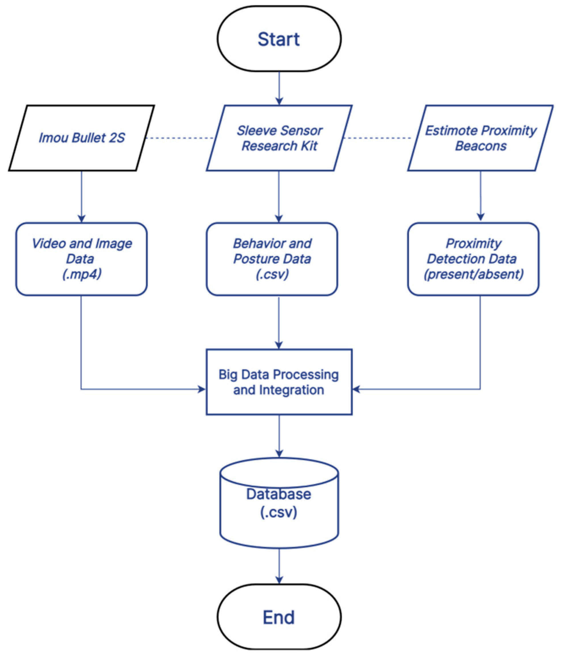 Information 13 00363 g001