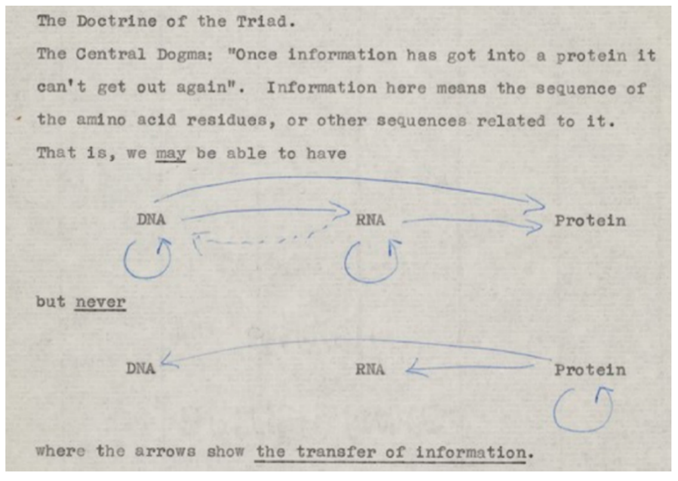 Information 13 00365 g005