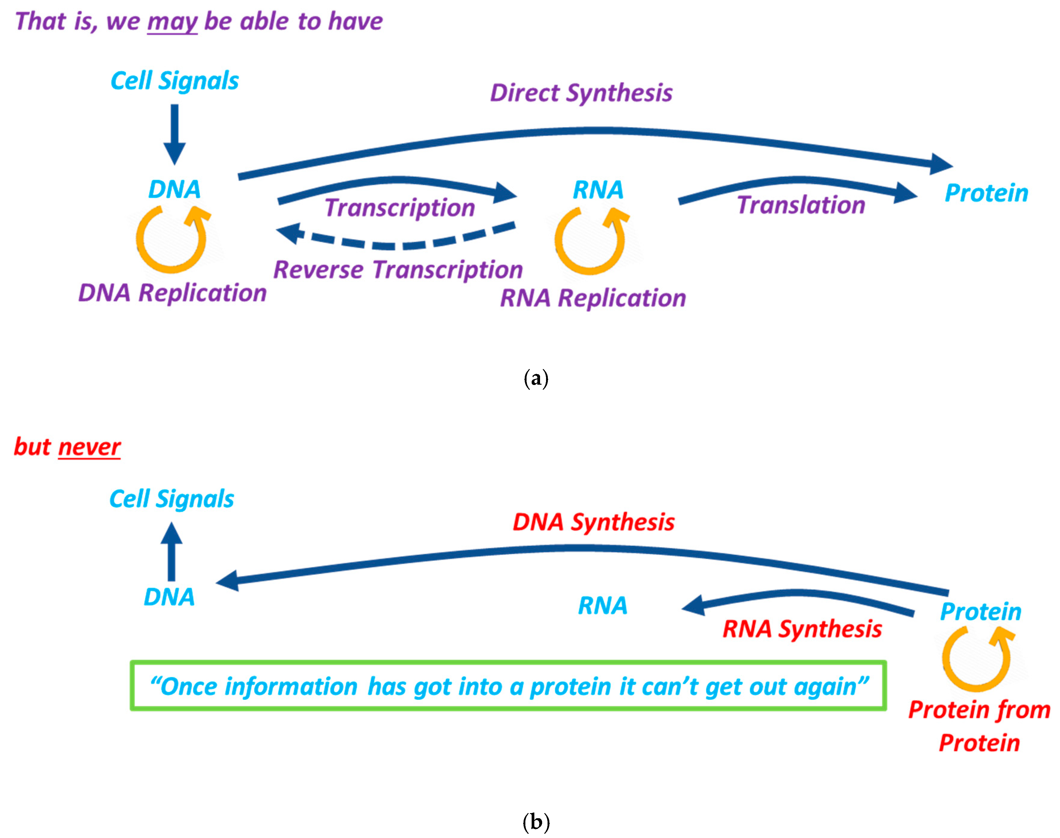 Information 13 00365 g006