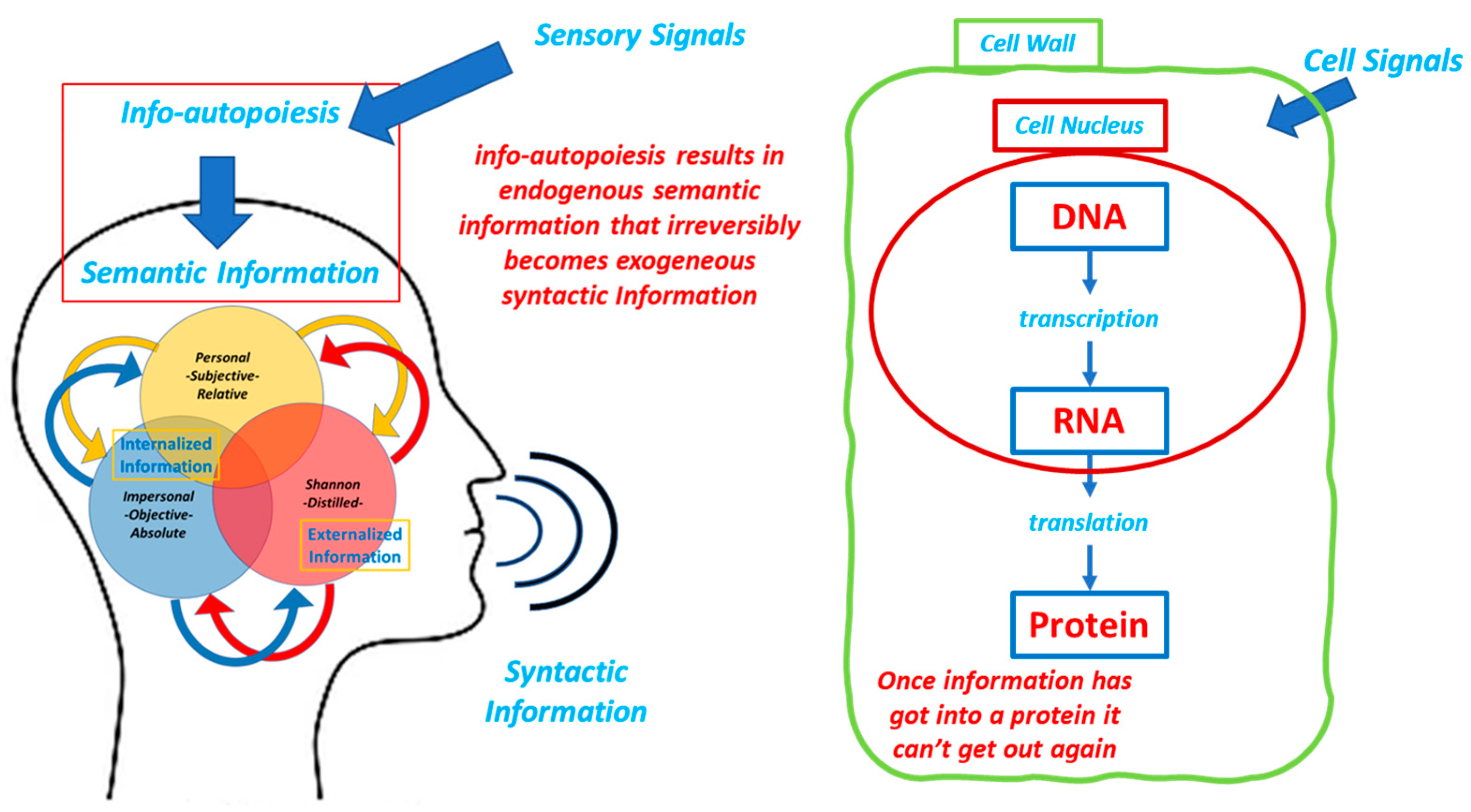 Information 13 00365 g007