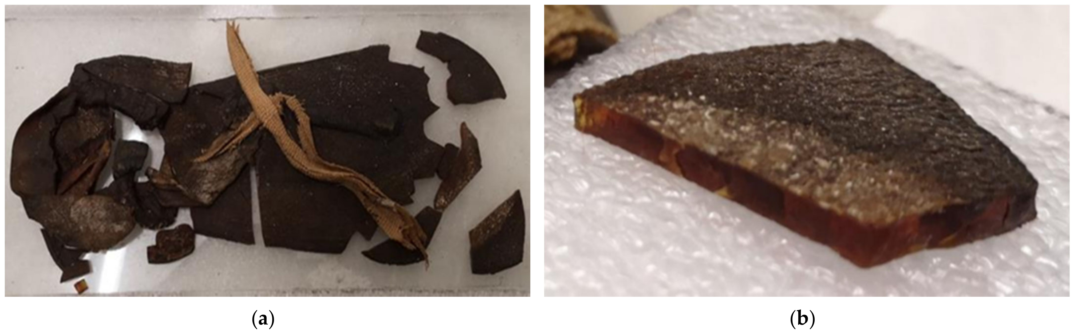 Information 13 00467 g001