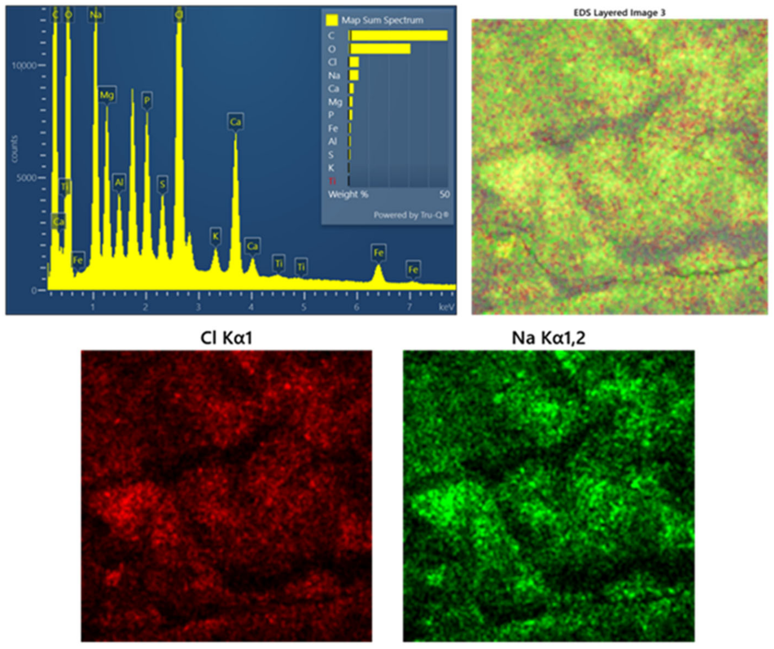 Information 13 00467 g007