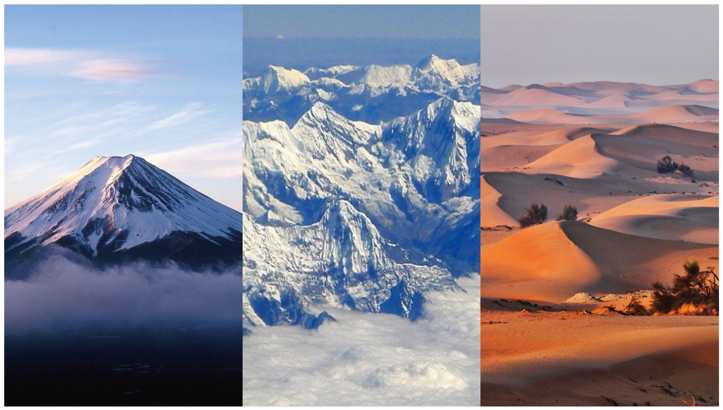 Information 13 00469 g001