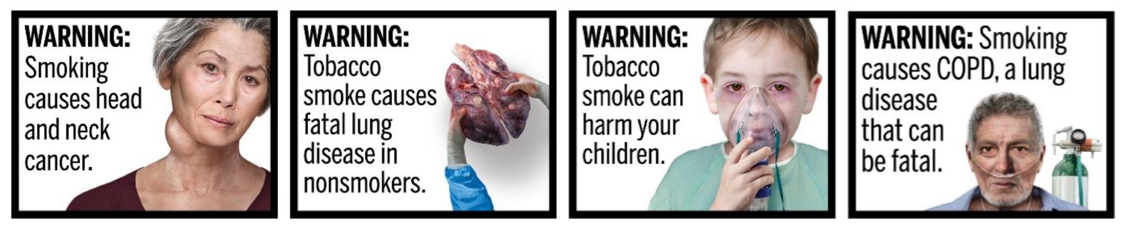 Information 13 00516 g003