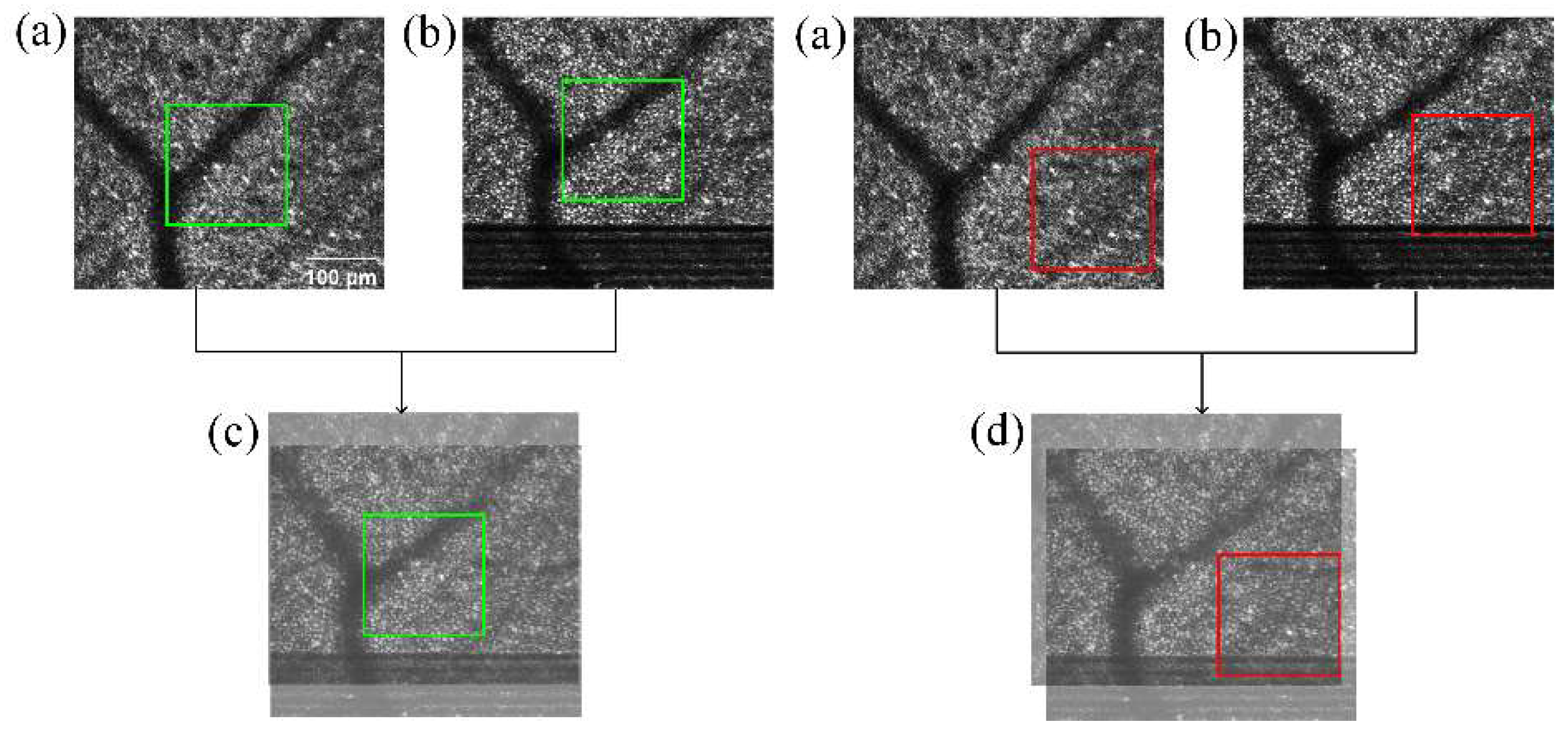 Information 13 00531 g008