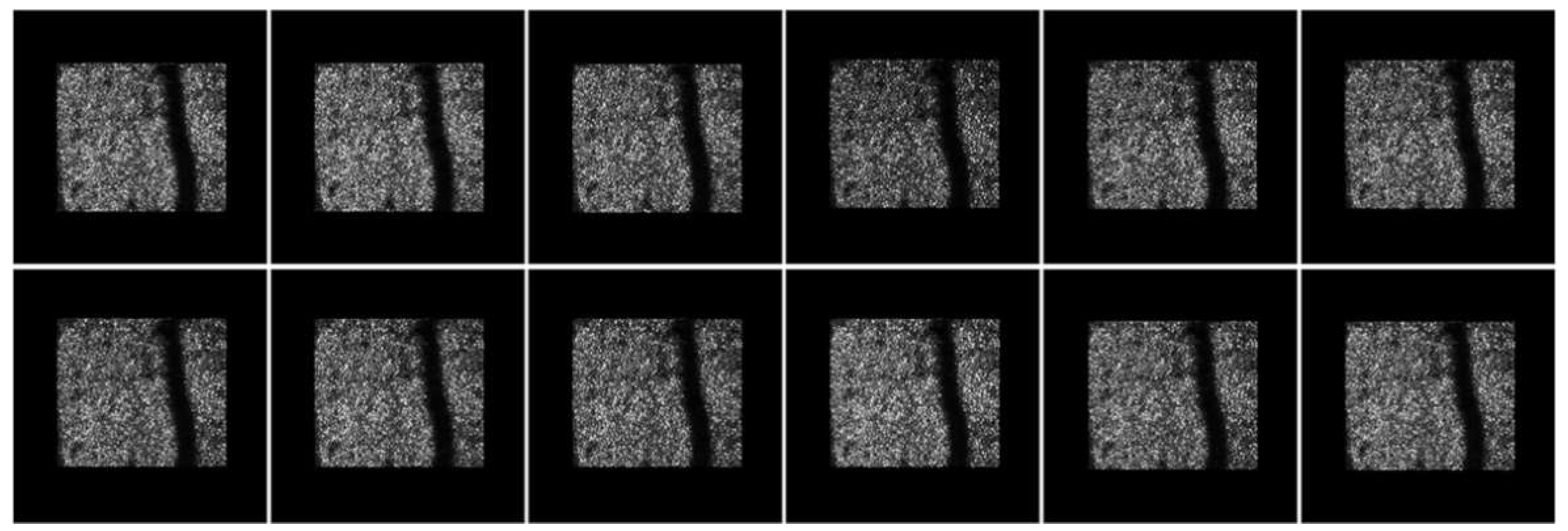 Information 13 00531 g015