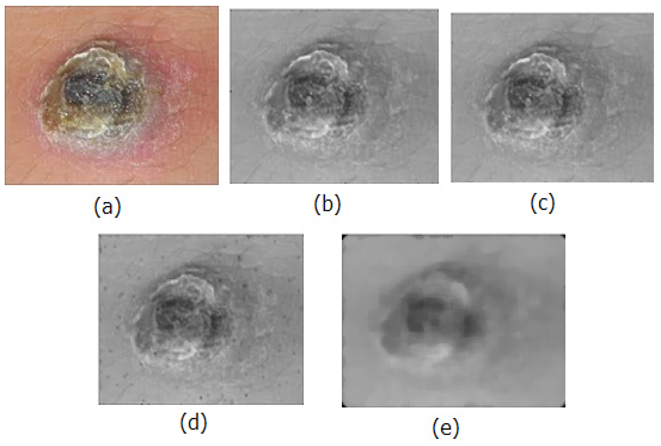 Information 13 00583 g003