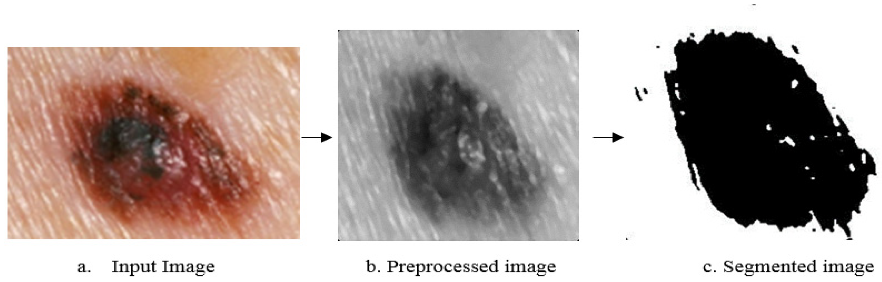 Information 13 00583 g005