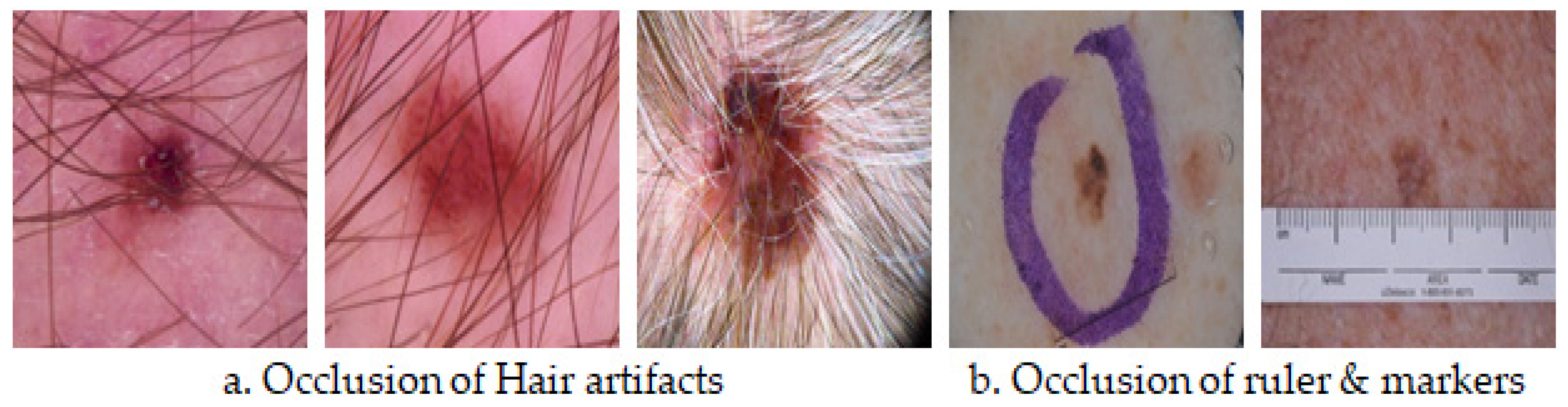 Information 13 00583 g006