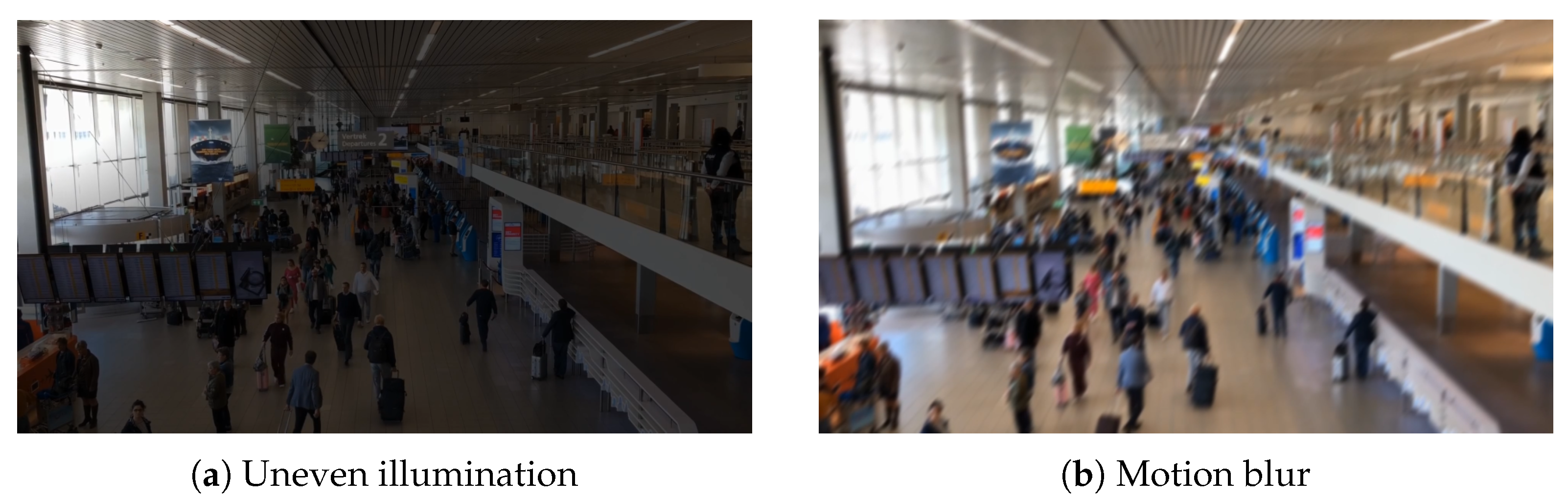 Information 13 00588 g001