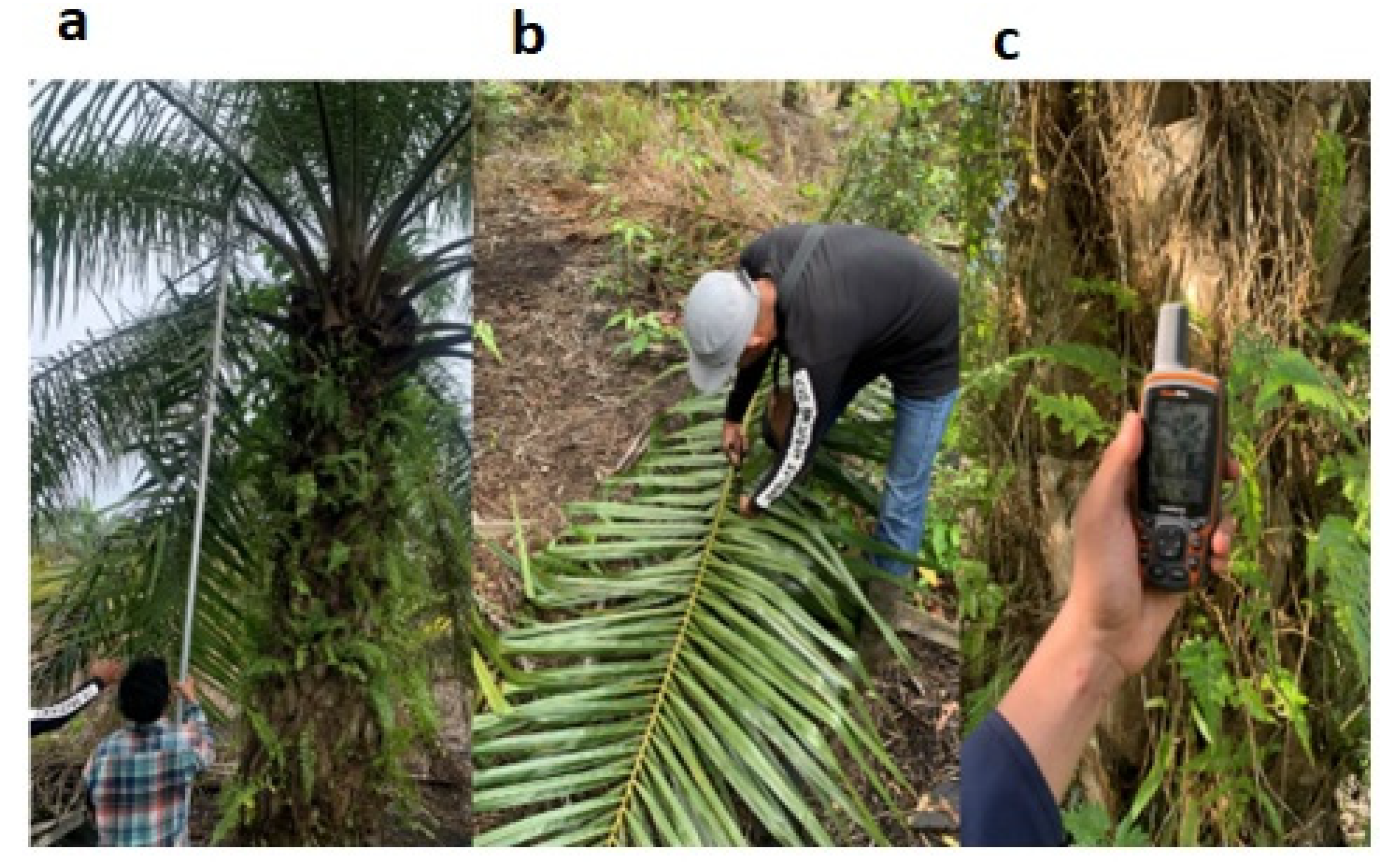 Information 14 00010 g001