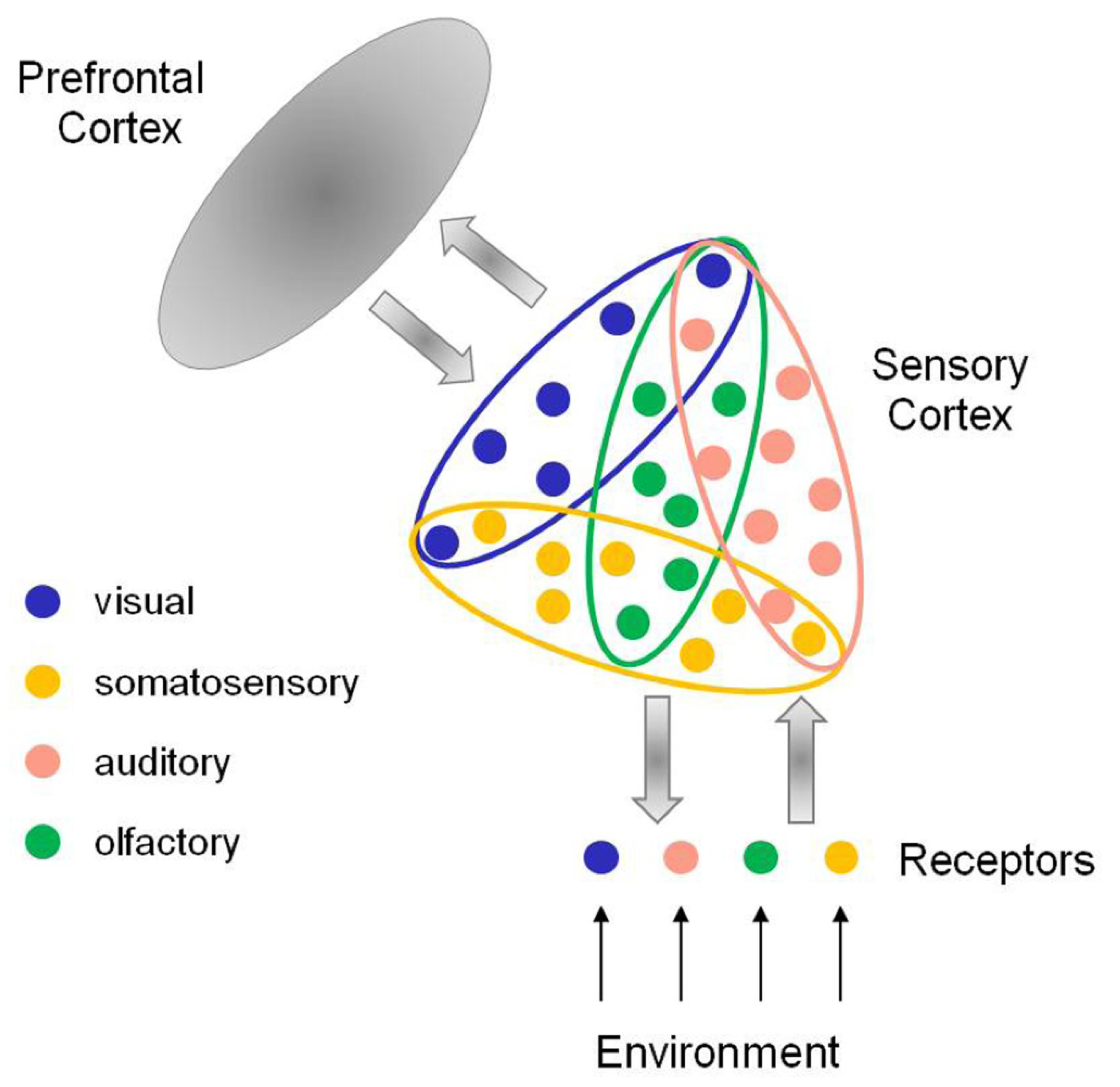 Information 14 00082 g001