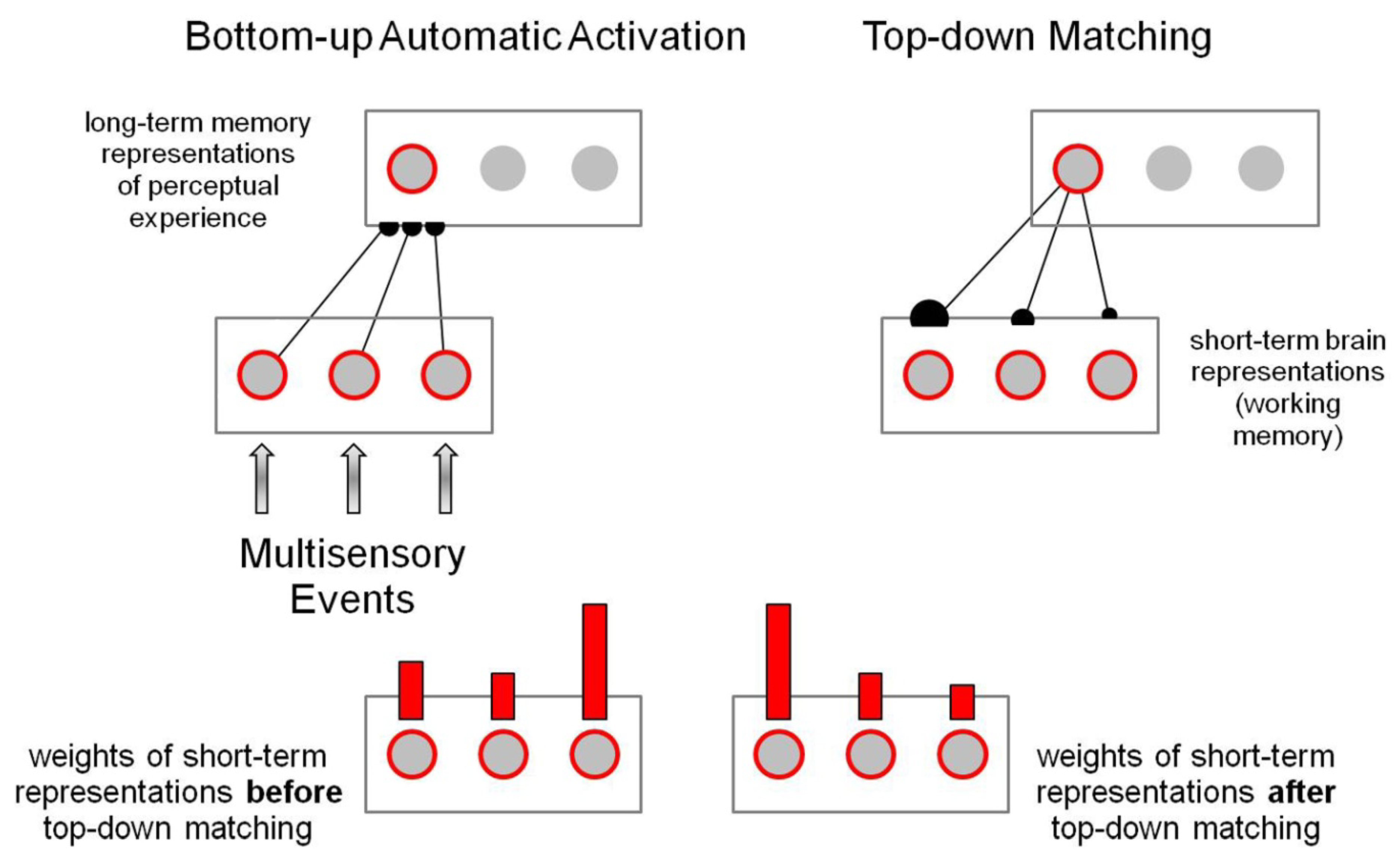 Information 14 00082 g002