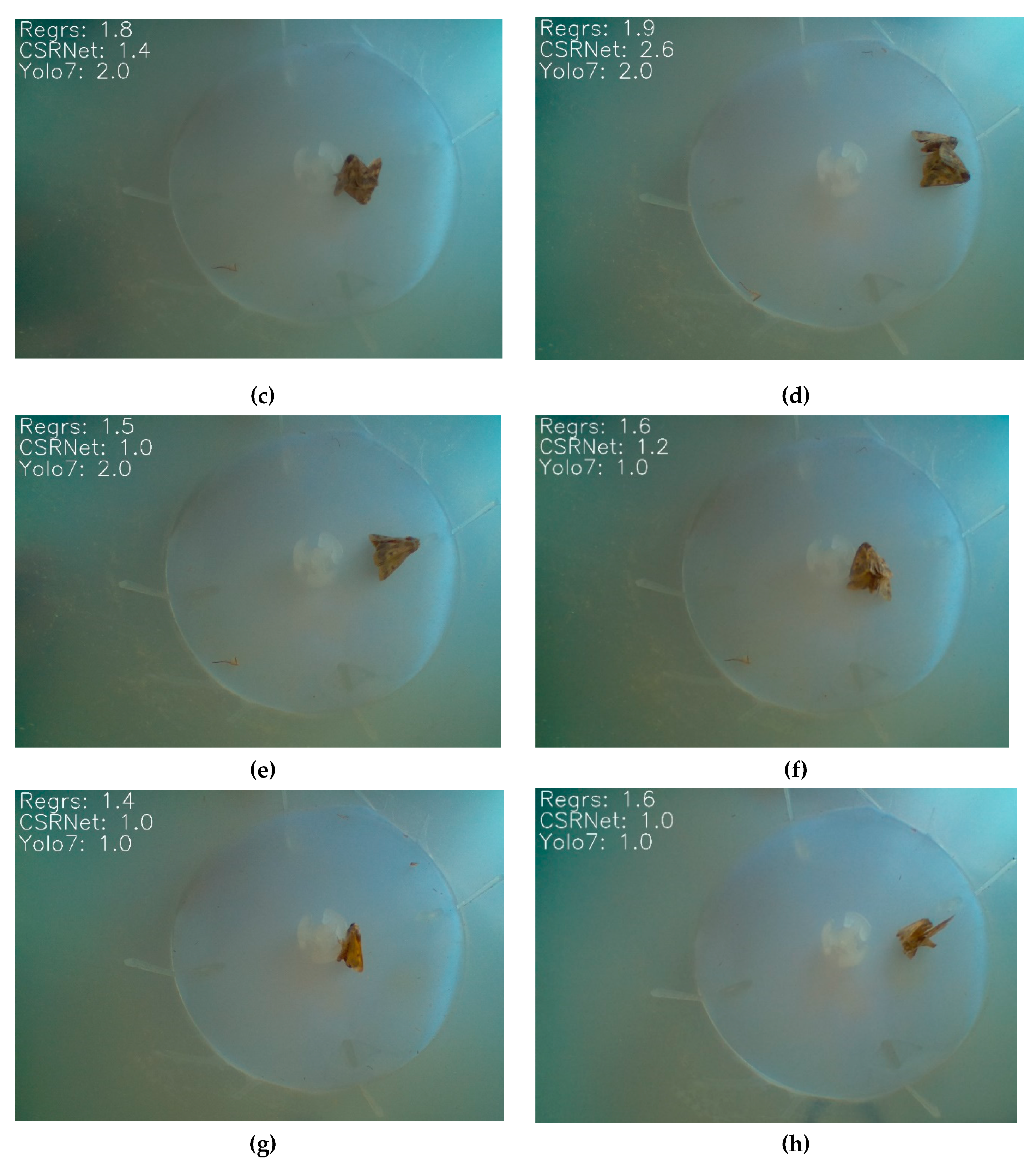 Information 14 00267 g006b