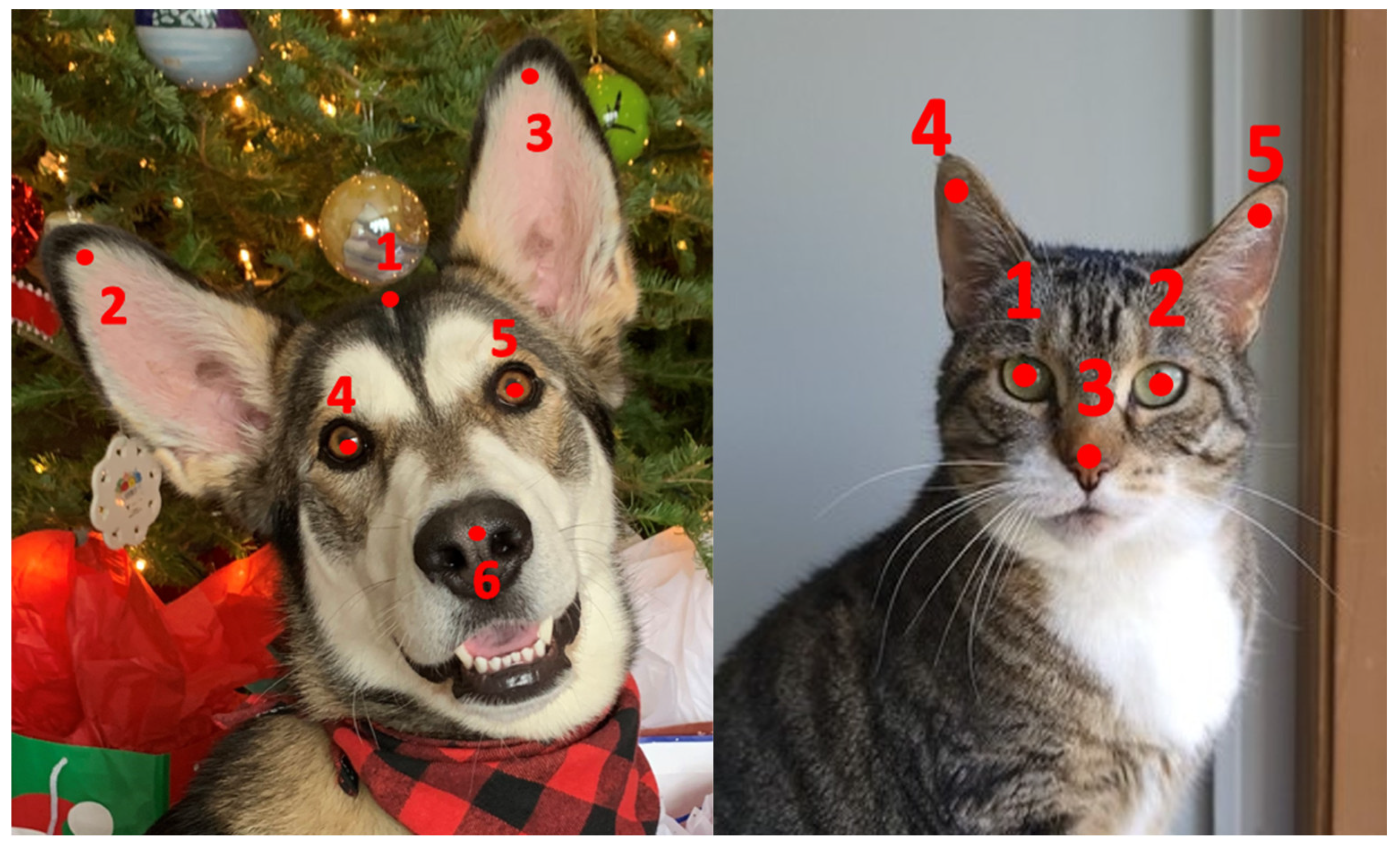 Information 14 00278 g003