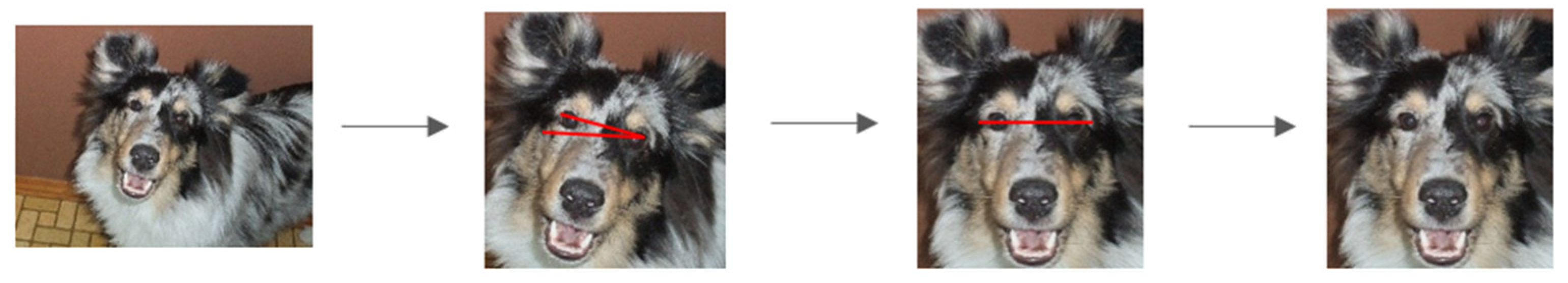 Information 14 00278 g004