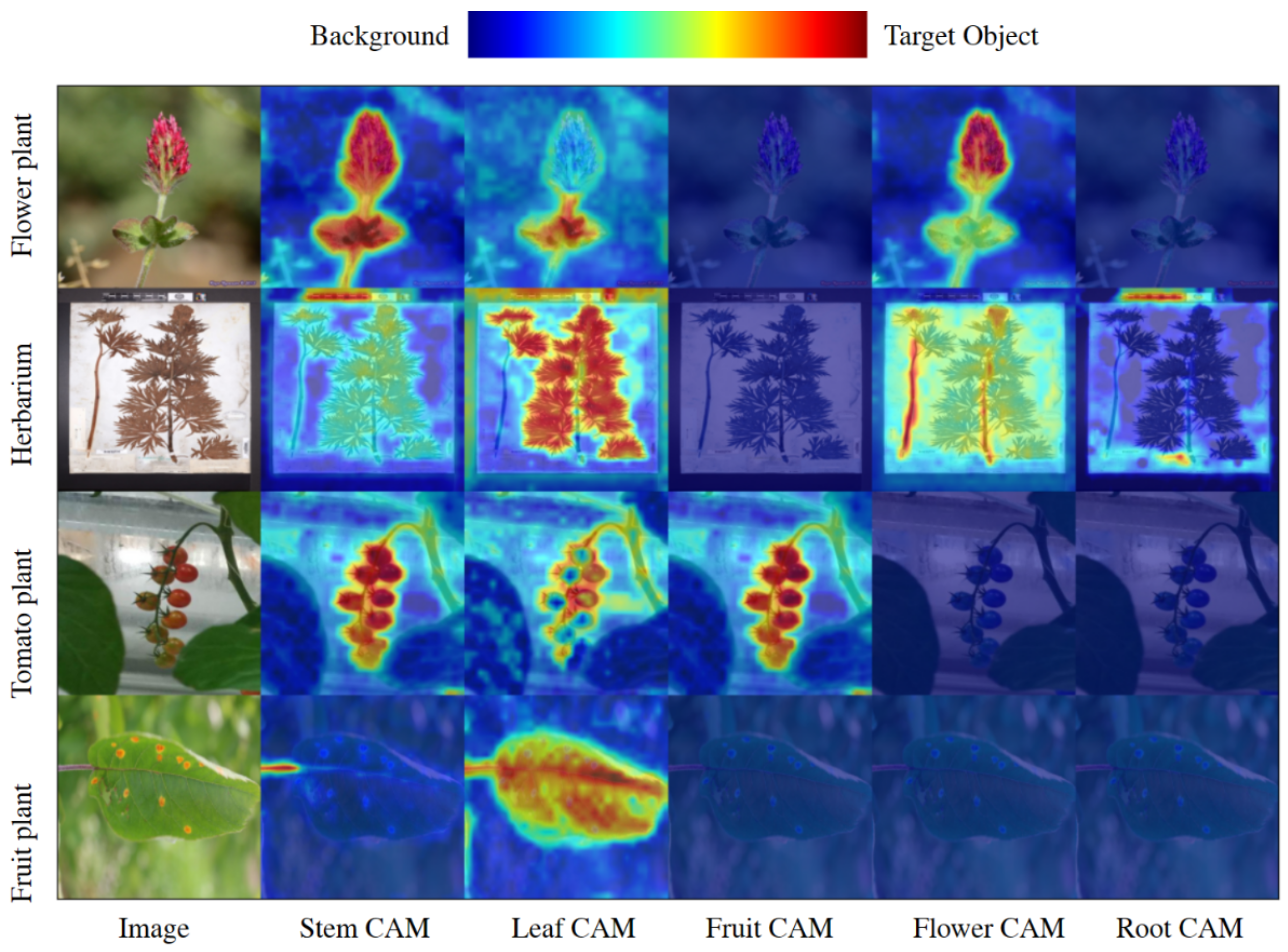 Information 14 00380 g002