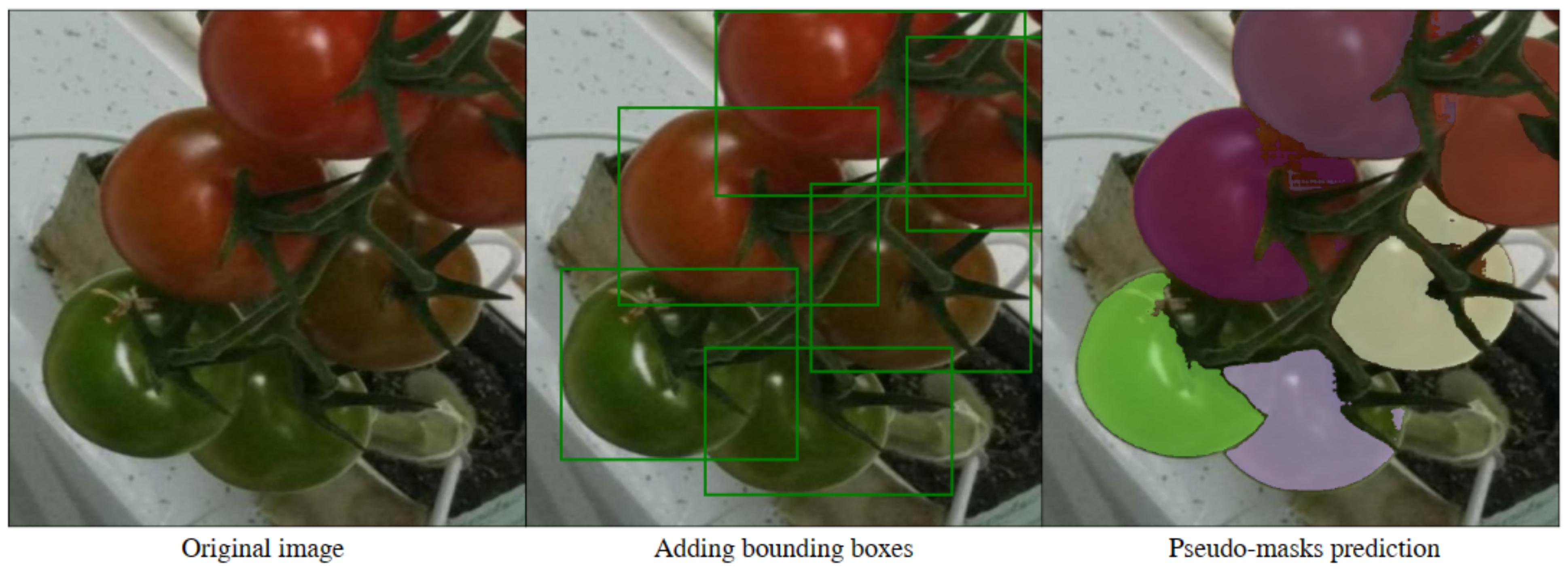 Information 14 00380 g005