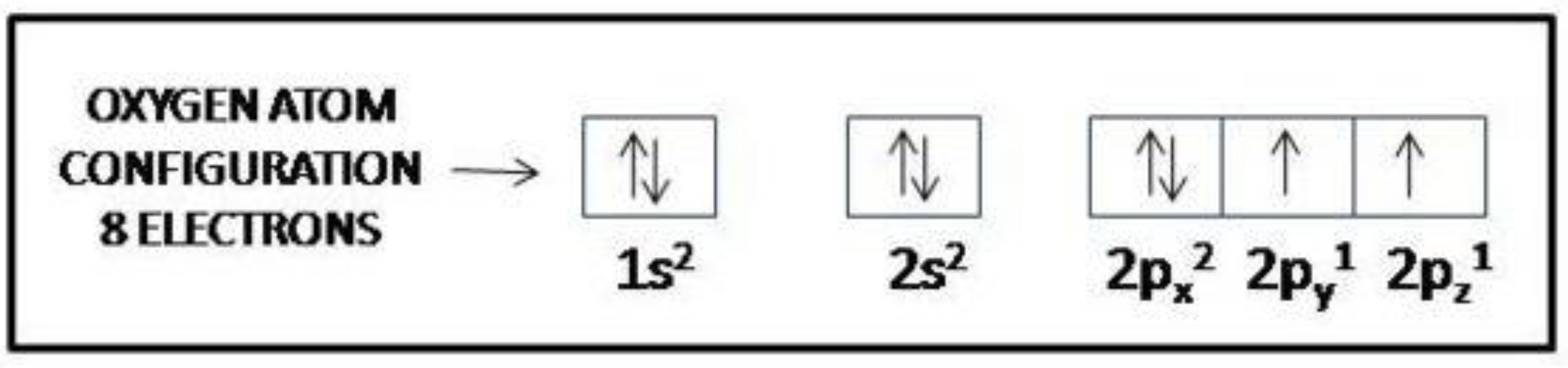 Information 14 00409 g003