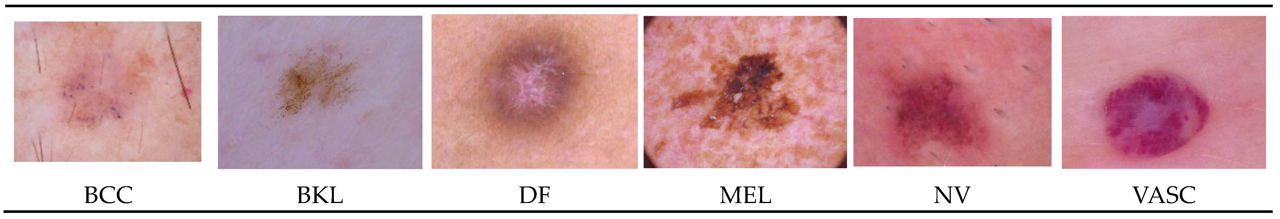 Information 14 00415 g001