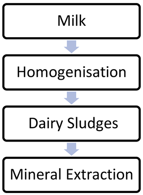 Information 14 00454 i012 Information 14 00454 i012